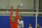 Wheaton Women's Volleyball  Wheaton Women's Volleyball vs Bridgewater State University. : Wheaton, Volleyball, BSU, Bridgewater State College